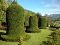 DSCN4724