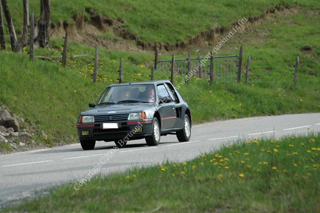 DSC_0009 copie